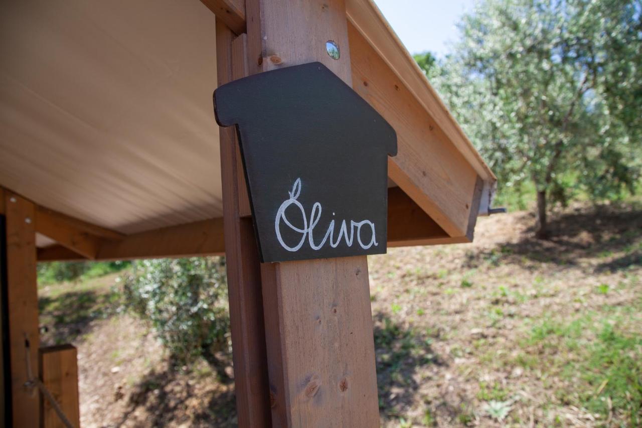 podere prataccio Grosseto Zewnętrze zdjęcie