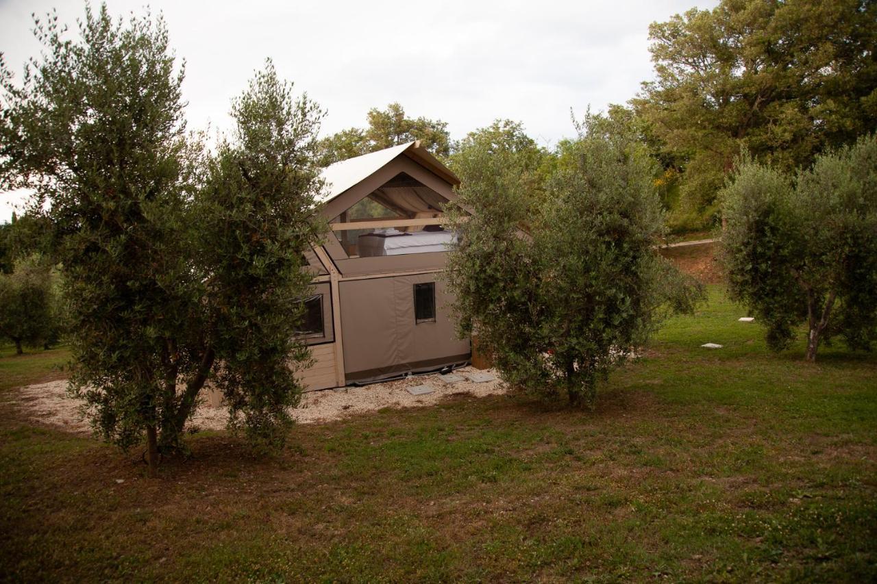 podere prataccio Grosseto Zewnętrze zdjęcie
